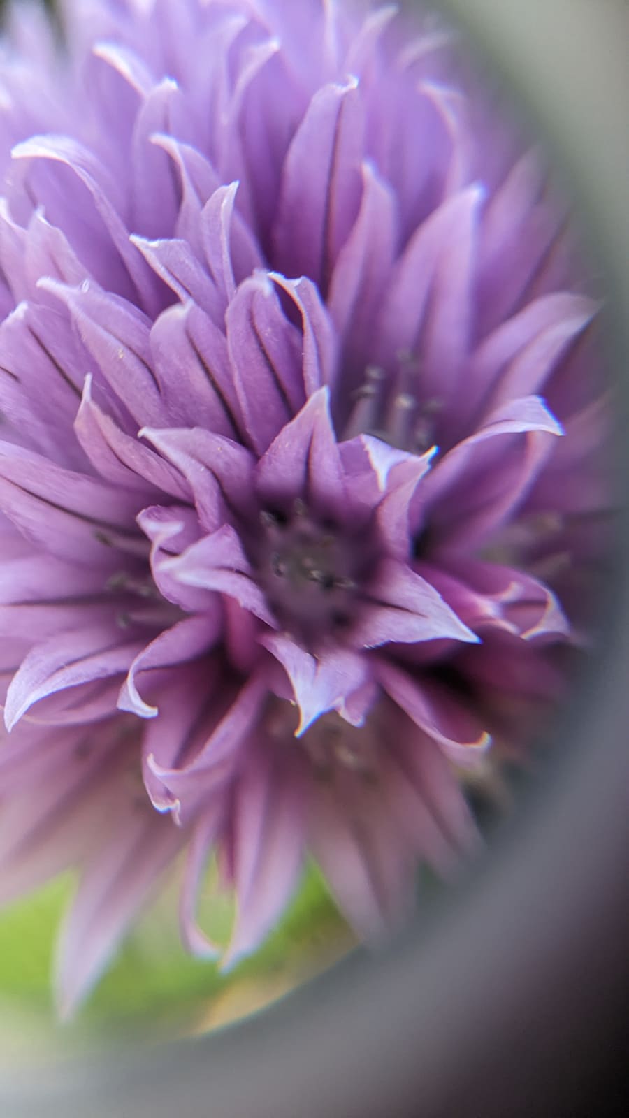 Personal photo 12