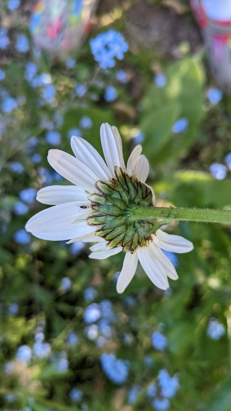 Personal photo 10